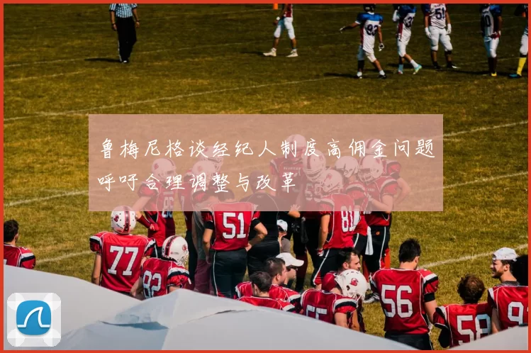 鲁梅尼格谈经纪人制度高佣金问题呼吁合理调整与改革